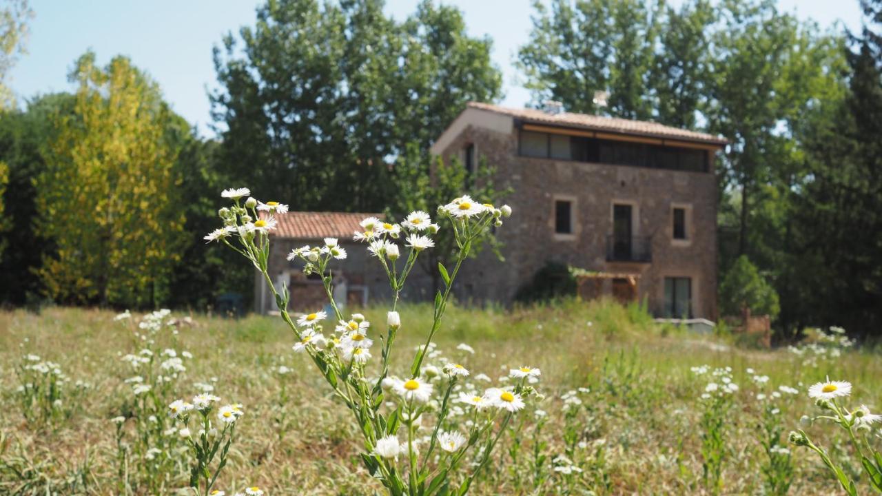 Ca N'Aliguer Guest House Ripoll Exterior photo